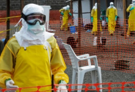 Ученые признали эффективность новой вакцины от лихорадки Эбола
